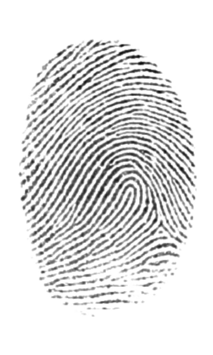 Sample from Integrated Biometrics Columbo