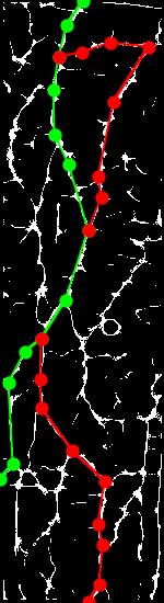 Sample of PLUSVein-FR (Extracted MC Features) - Rotation Angle: 30°